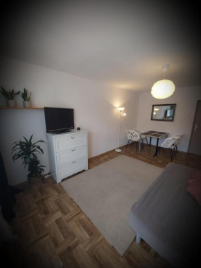 Apartament przy Gdańskiej Starówce